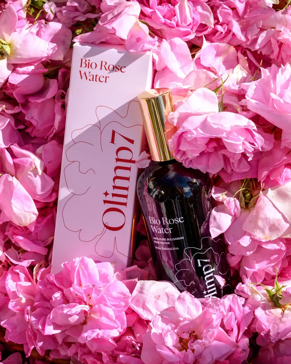 Olimp 7 bottle and box among rose blossoms